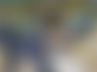 Car is approached on BR-282 highway and police discover nearly 7,000 contraband items in SC