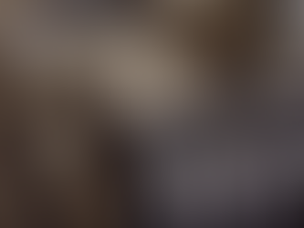 Mais de 700 garrafas de vinho contrabandeadas são apreendidas em Nova Candelária