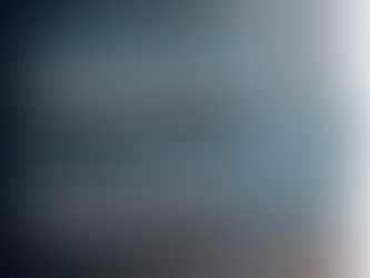 Simplied Opposition: Understand the BPTO's New Modality