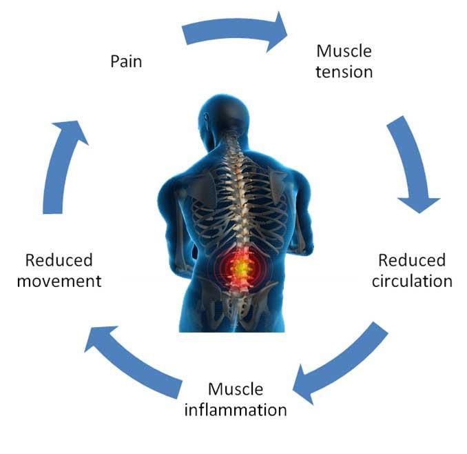 Physio-2.jpg