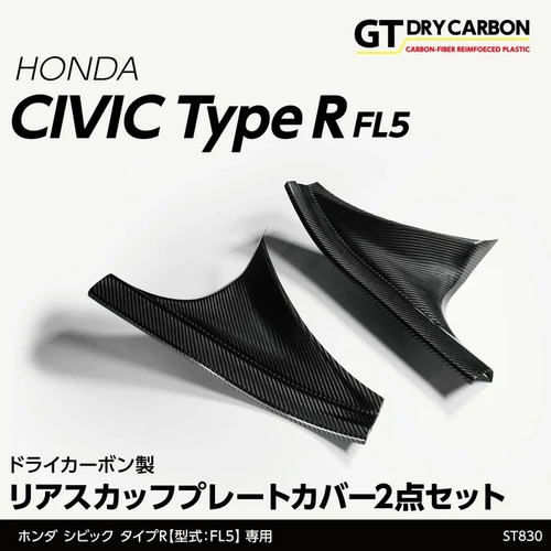 Rear Step Guard, Type R Civic 2022+ | Andro Motorsports