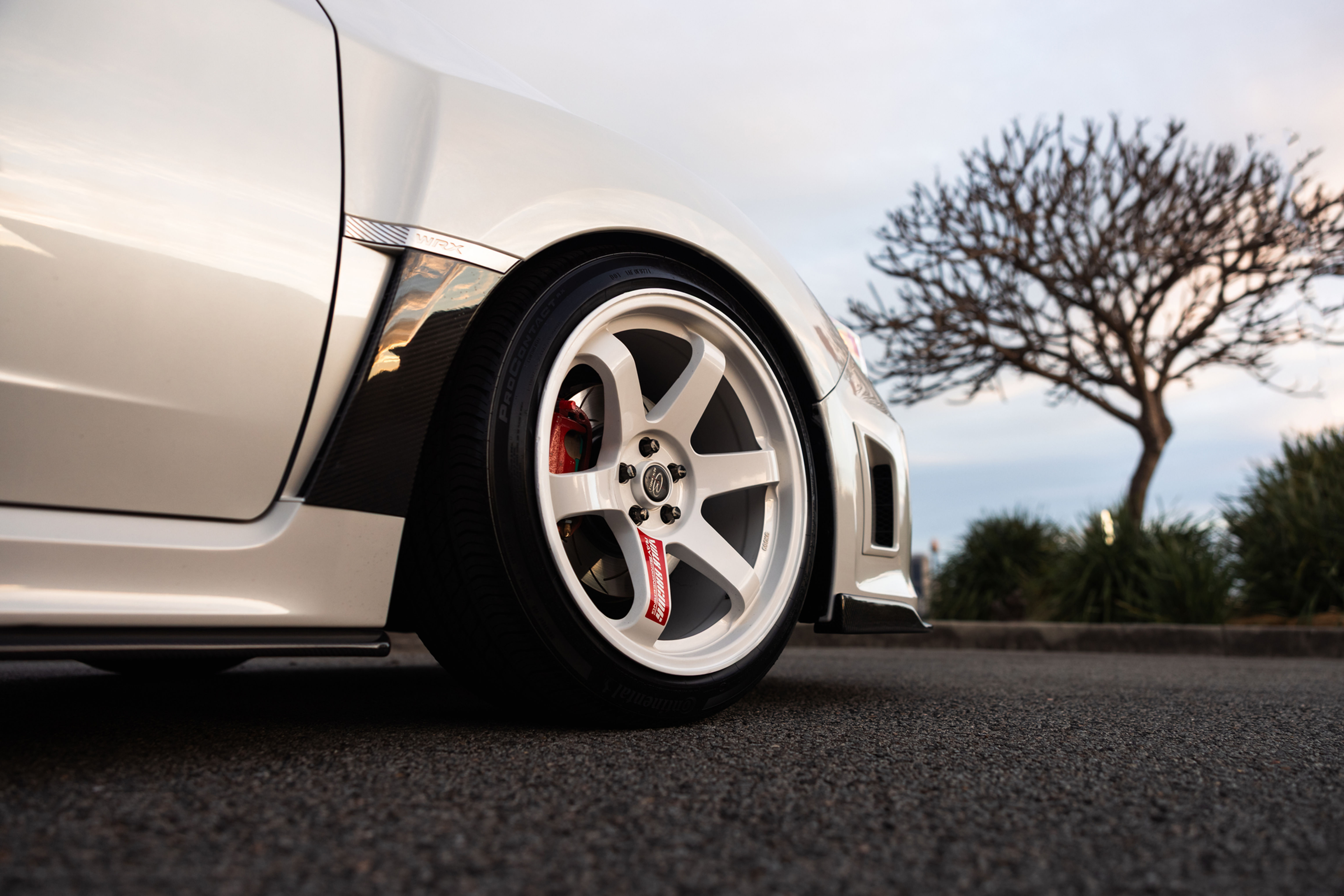 Carbon Fibre Fender Garnish 2008-2013