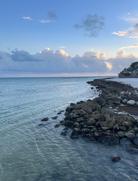 Professional Photography Key West
