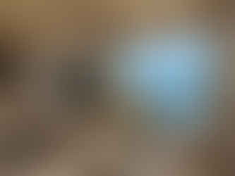 Studios na Grande Florianópolis: o novo símbolo de liberdade urbana