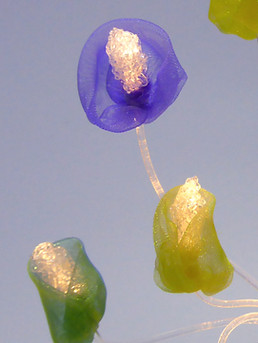 Corsage paars groen bruin aan _ Josee Kempe Light fiber jewels lichtkunst  bruiloft feest 