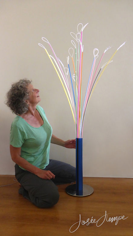 Josée Kempe optische vezel glasvezel kunst LED optical fiber optics light art FTTH FITH FTTX