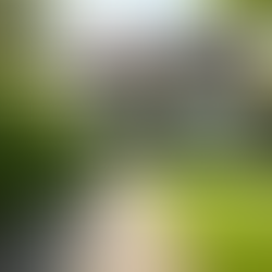 Maximizing Property Value with Expert Management Strategies