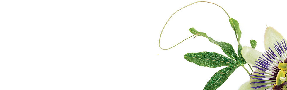 LOGO 2_site_banner.png