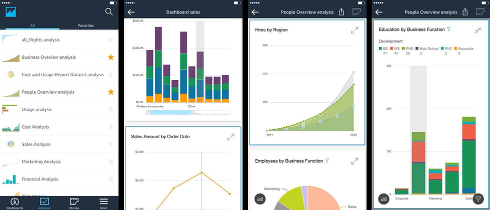 Miniatura: Software BI Cloud Ss-BI