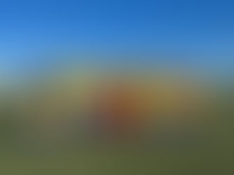 🟡🔵ジュニア情報🟡🔵