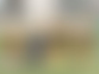 🟡🔵ジュニア情報🟡🔵