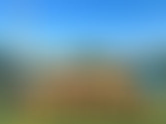 🟡🔵ジュニアユース情報🟡🔵