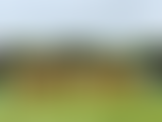 🟡🔵ジュニアユース情報🟡🔵