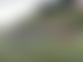 🟡🔵スクール情報🟡🔵