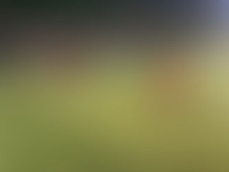 🟡🔵スクール情報🟡🔵