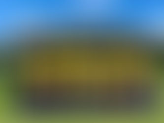 🟡🔵ジュニア情報🟡🔵