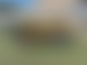 🟡🔵ジュニア情報🟡🔵