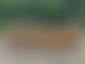 🟡🔵ジュニア情報🟡🔵