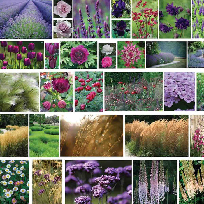 Woodcote Oxfordshire garden design - planting photo references - CITYSCAPERS