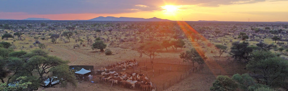 Namibia Farm