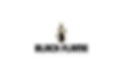 BlackFlameVisuals Logo
