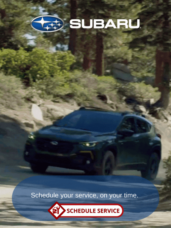 body_earlyrmdr_lifestyle_subaru (1).gif