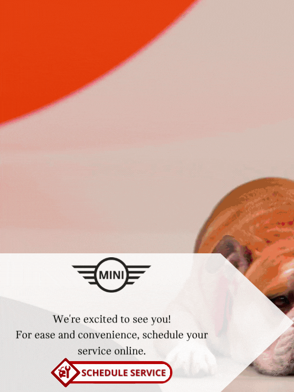 MINI First Service Alert - Lifestyle.gif