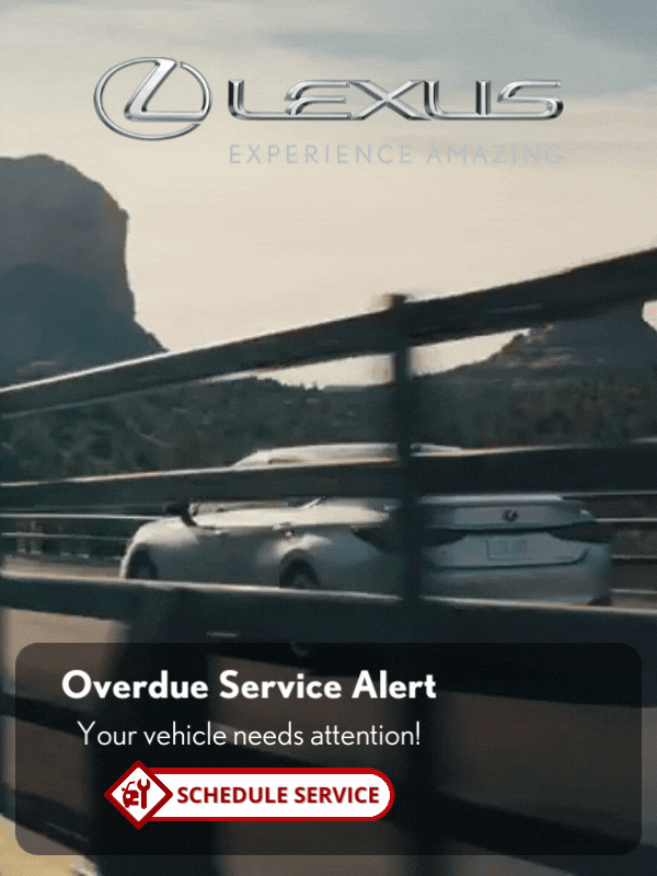 Lexus Service Overdue Alert - Lifestyle.gif