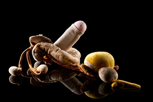 Stoffmodell des urogenitalen Systems bei Menschen mit Penis zur sexualpädagogischen Veranschaulichung