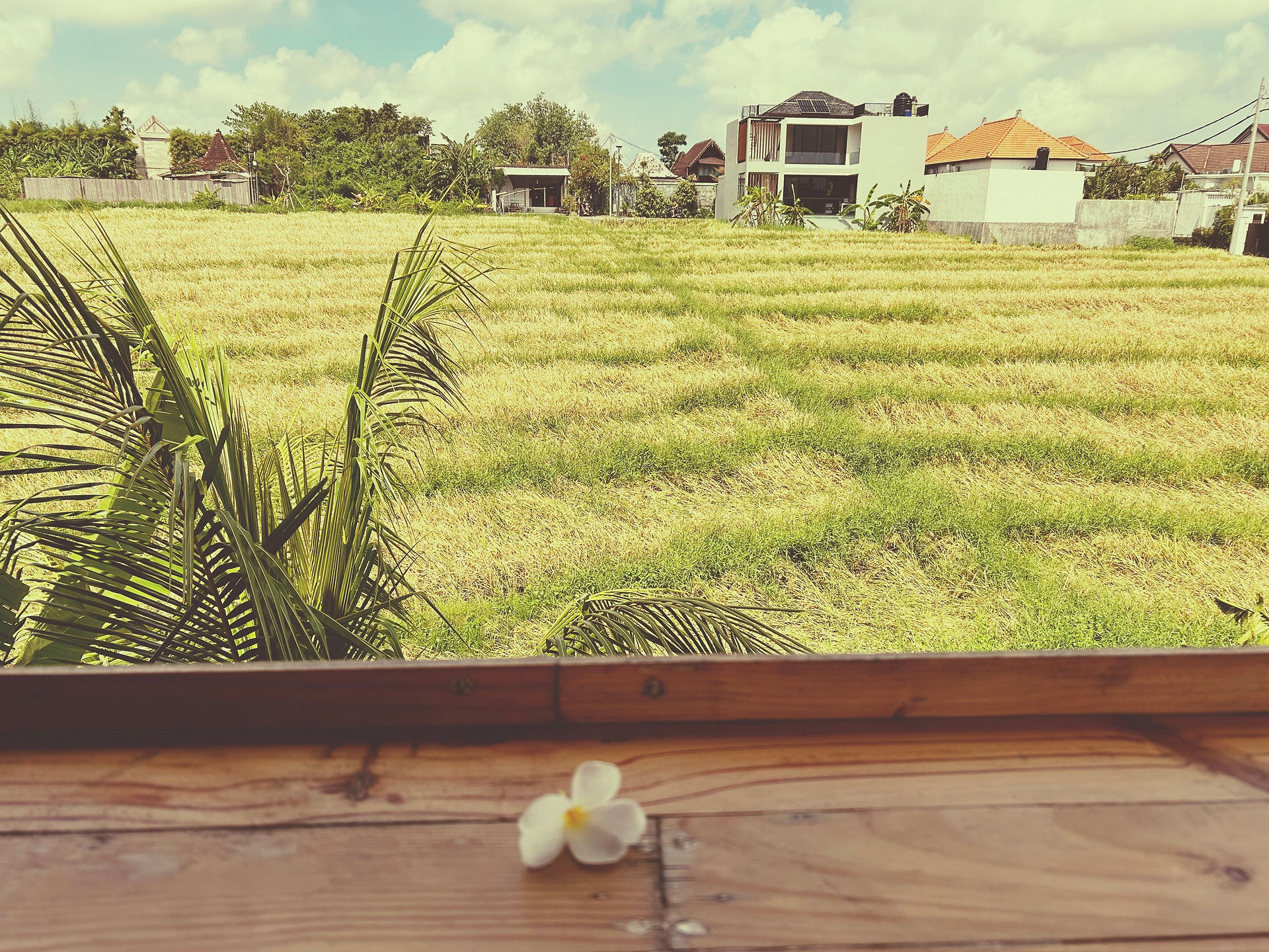view of a field