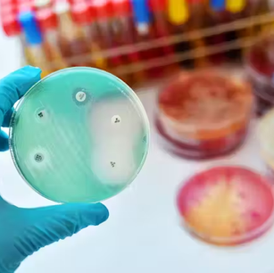 Resistencia a los antibióticos en hospitales