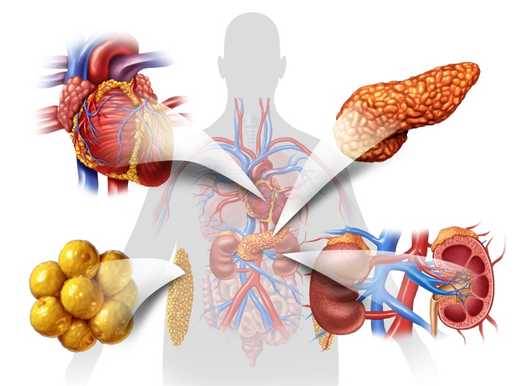 Nuevas guías integran la salud cardiovascular, renal y metabólica