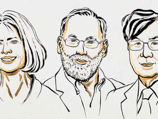 Premio Nobel de Medicina 2025 para Mary Brunkow, Fred Ramsdell y Shimon Sakaguchi por identificar a los “guardias de seguridad del sistema inmunológico”