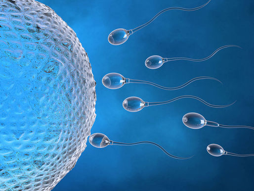 Disminución del recuento de espermatozoides