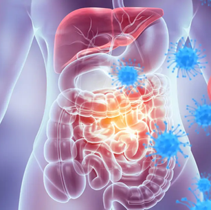 El sistema inmunológico puede evitar que quememos grasa