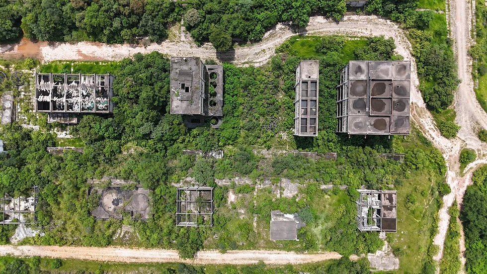 Operação Cordyceps 