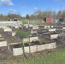 Screenshot 2026-06-05 at 10.34_edited.jpg