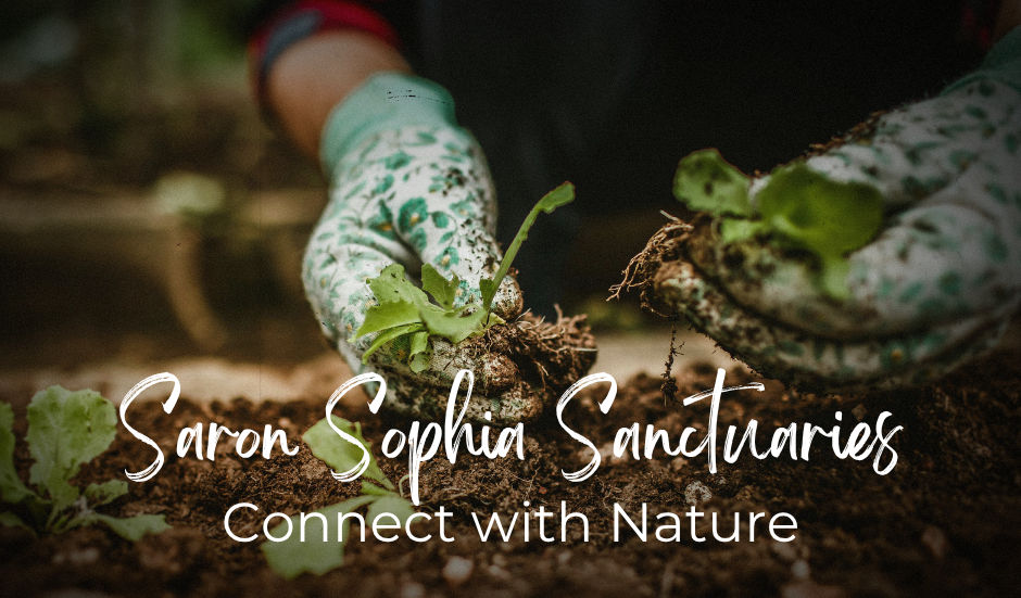 Saron Sophia Sanctuaries - Community Garden Workdays