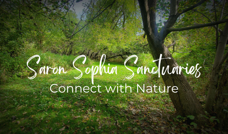 Saron Sophia Sanctuaries - Trails and Havens Workday