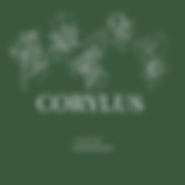 corylus (1).png