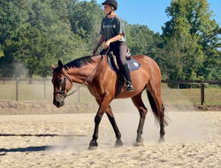 458785278_3770609739921240_5292183068790703010_n_edited