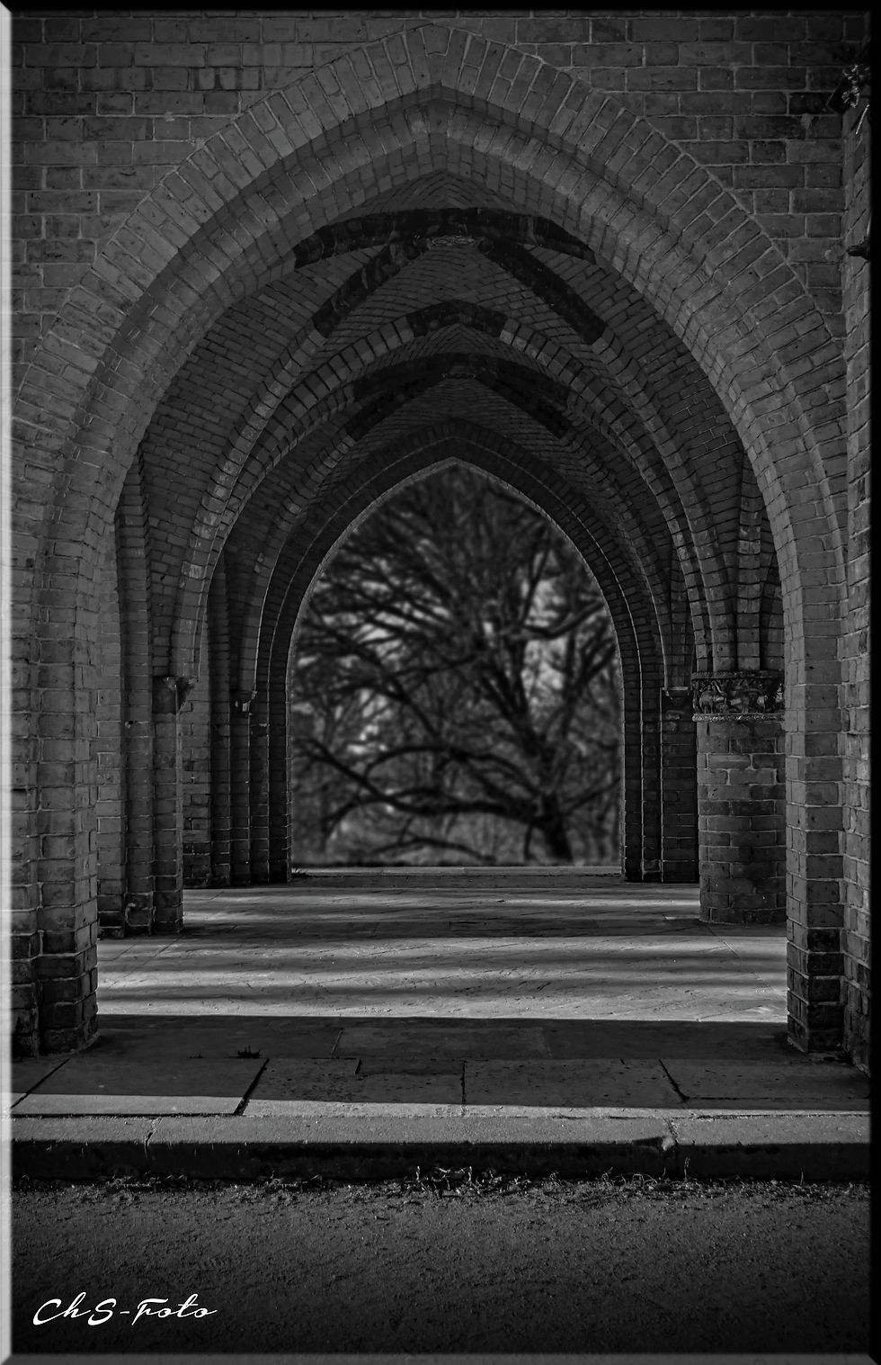 IMG_2136
