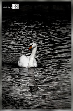 IMG_1070