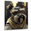 Thumbnail: Designart 'Schnauzer Gangster in NYC I' Animals Dog Schnauzer Gangster Mafia Me