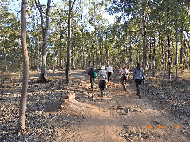 Attendees walking _ GBC birding afternoon.JPG