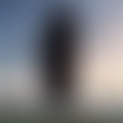 Arrival (2016)
