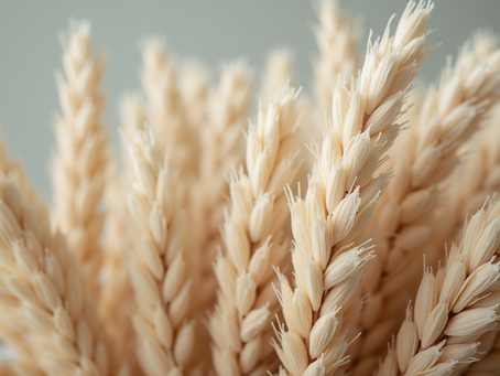 Harmonizing Tradition with Sustainability in White Sage Sourcing Practices