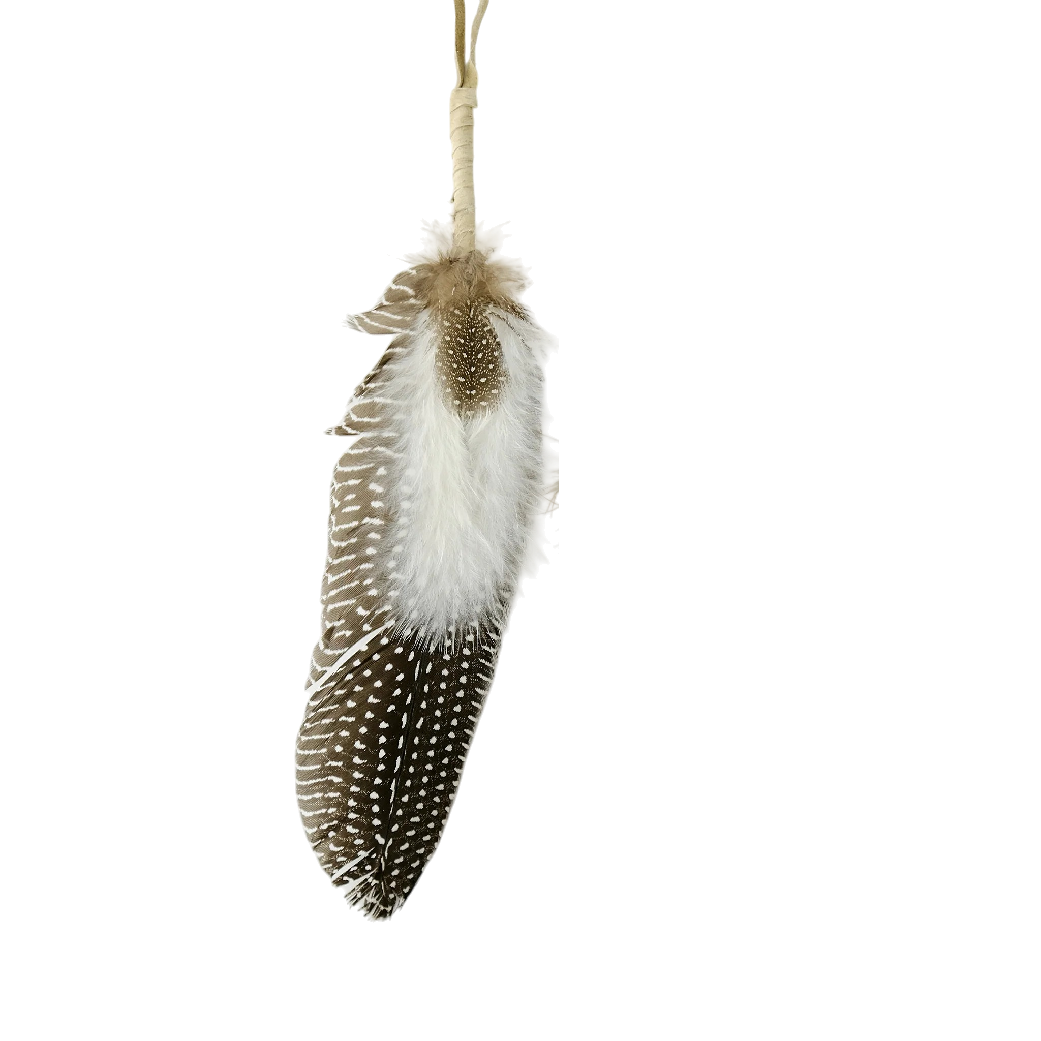 Natural Guinea Feather