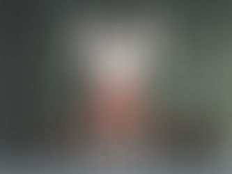 US Forces seize Easter Bunny