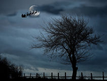 Reindeer demand parity with Elves